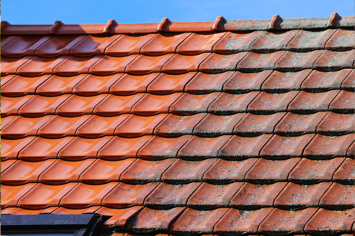 Before and after photo of roof cleaned by CES in Charlotte NC